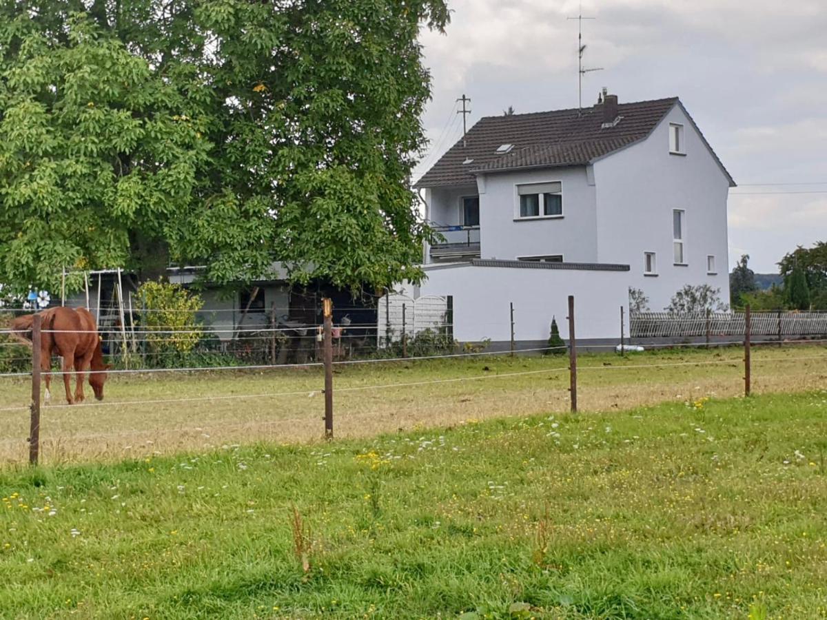 Haus Im Gruenen Villa Bornheim  Buitenkant foto