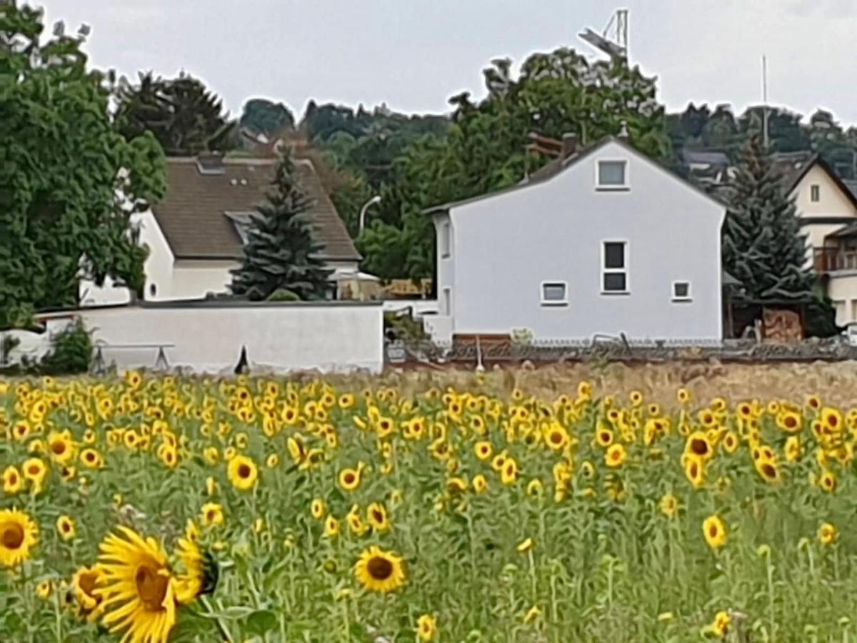 Haus Im Gruenen Villa Bornheim  Buitenkant foto