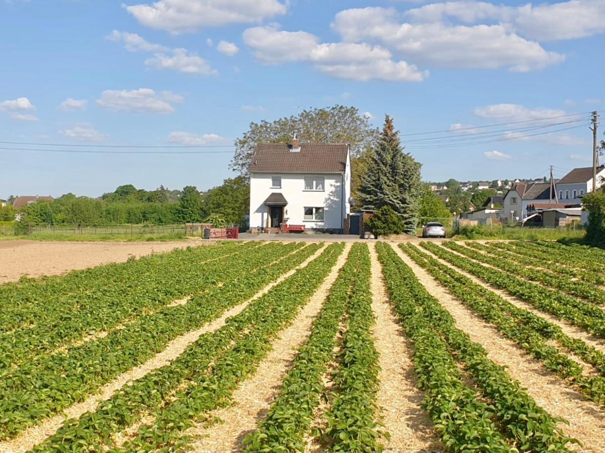 Haus Im Gruenen Villa Bornheim  Buitenkant foto