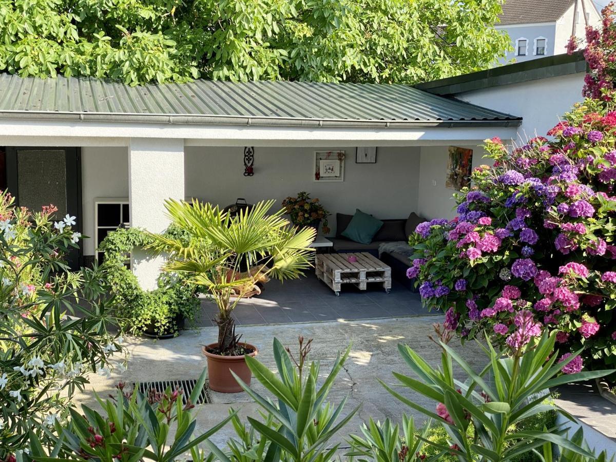 Haus Im Gruenen Villa Bornheim  Buitenkant foto